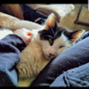 Meet your Posher, Courtenay